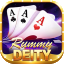 rummy 91 icon